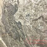 granite-saint-louis-slab
